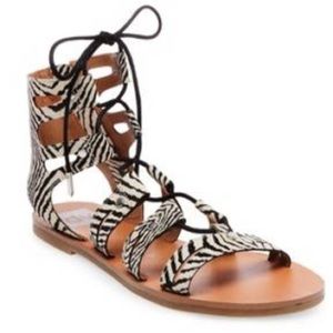 dolce vita sandals in zebra print
